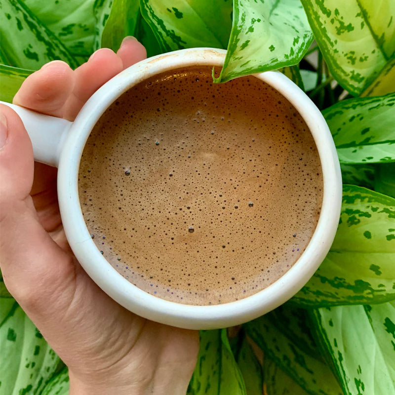 Ceremonial Grade Cacao – 100% Organic