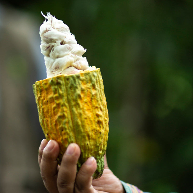 Ceremonial Grade Cacao – 100% Organic